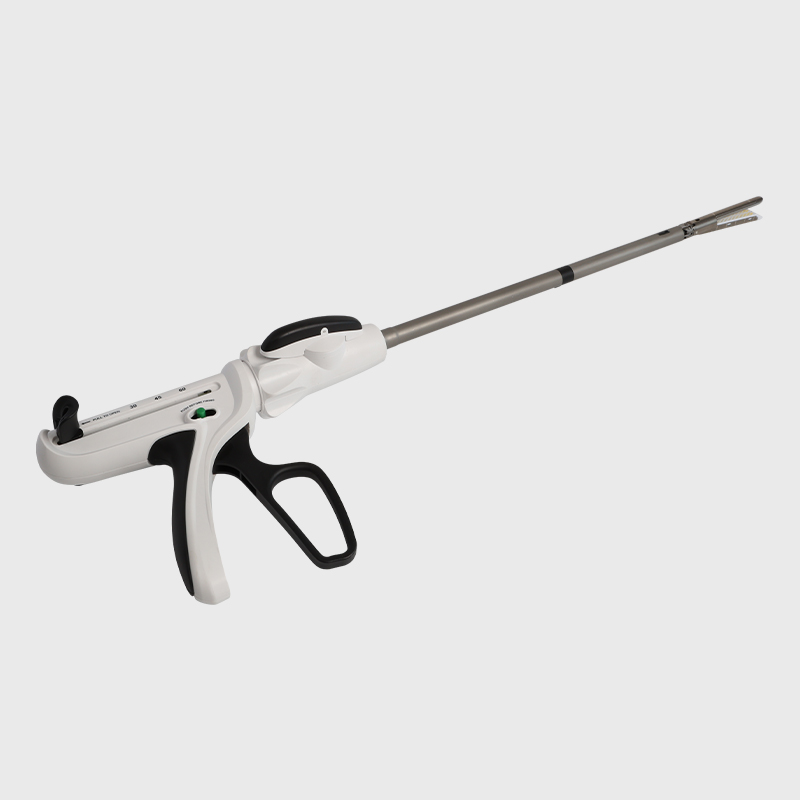 Tek kullanımlık endoskopik doğrusal kesme zımbaları ve kesme düzenekleri