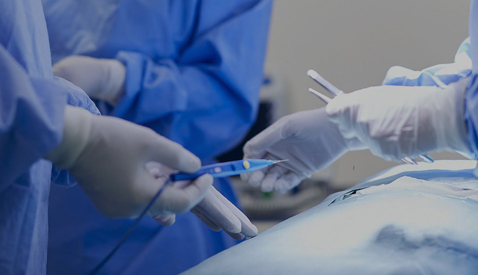 Eray Medikal Teknoloji (Nantong) Co., Ltd.